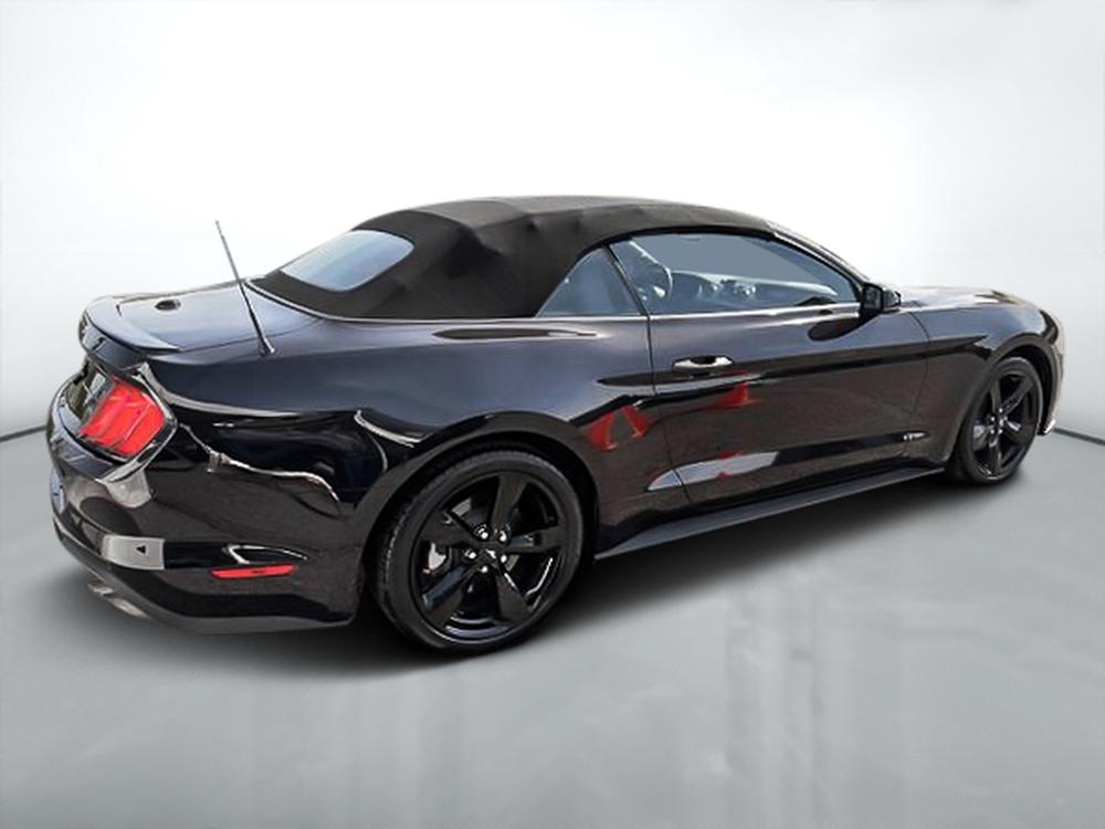 Ford Mustang ECOBOOST PREMIUM 2023 d&rsquo;occasion à vendre - 9