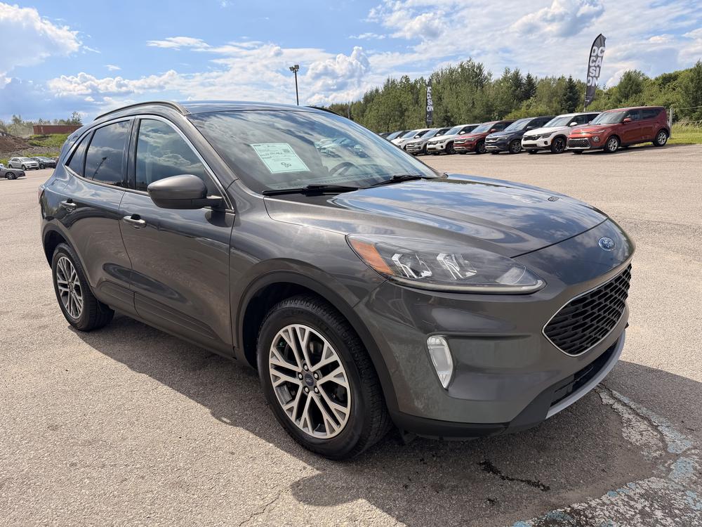Ford Escape SEL