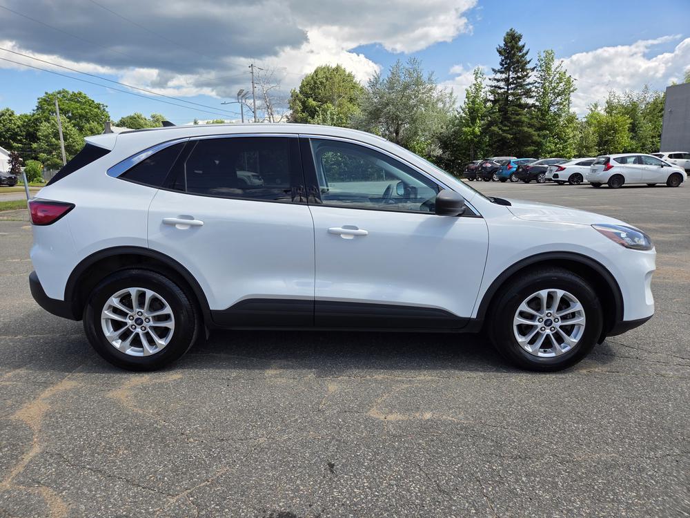 Ford Escape SE 2022 d&rsquo;occasion à vendre - 2