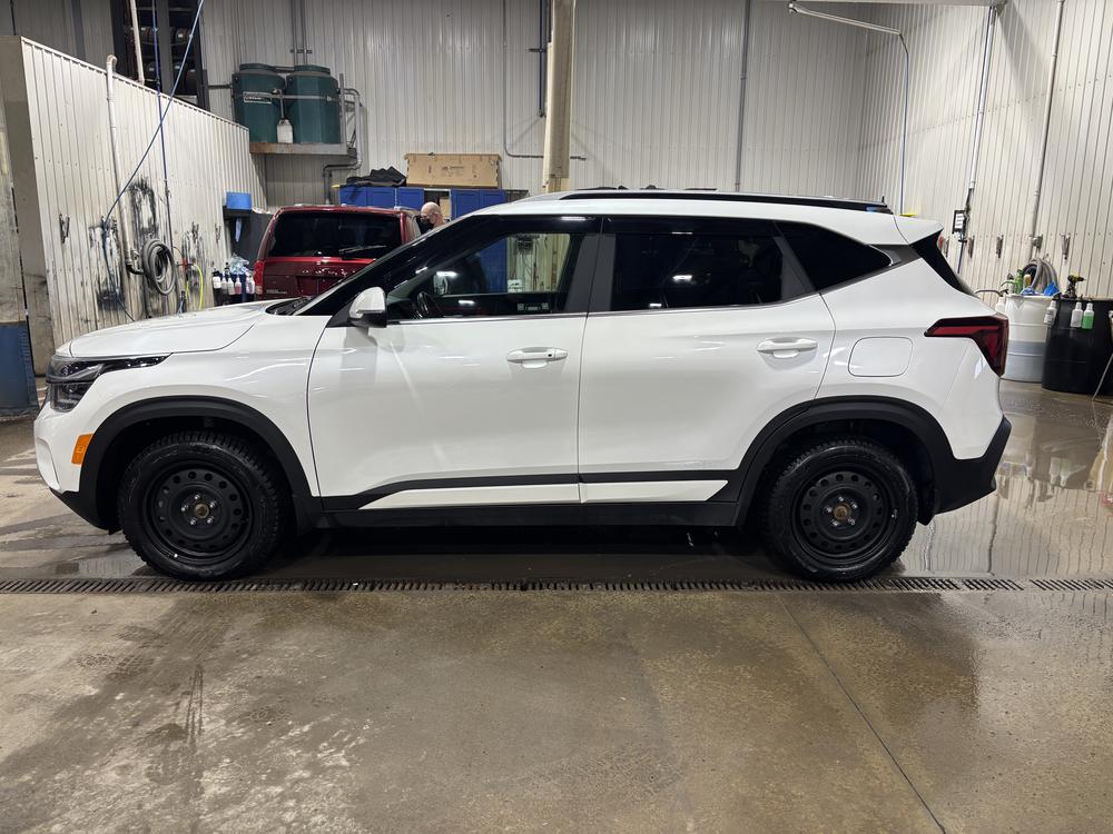 Kia Seltos EX+ 2024 d&rsquo;occasion à vendre - 4