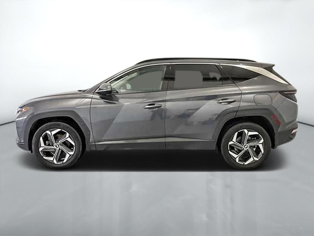 Hyundai Tucson hybride Luxury AWD 2024 d&rsquo;occasion à vendre - 4