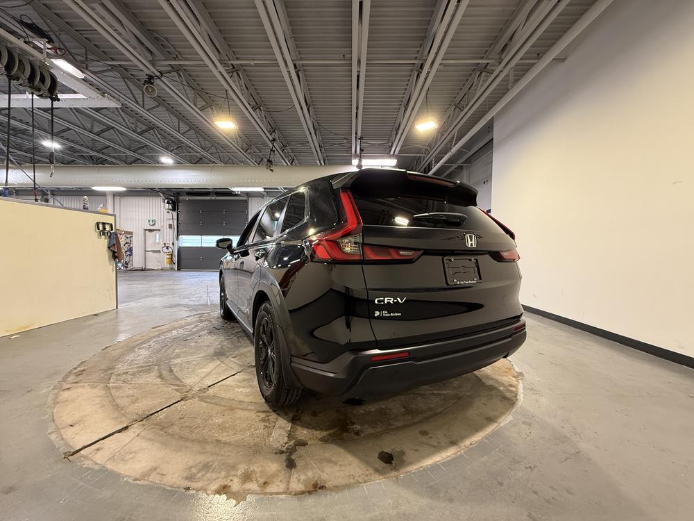 Honda CR-V LX 2024 d&rsquo;occasion à vendre - 6