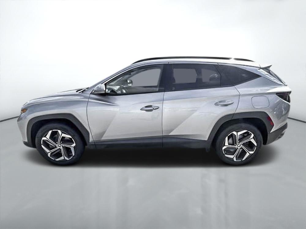 Hyundai Tucson hybride LUXE 2024 d&rsquo;occasion à vendre - 4