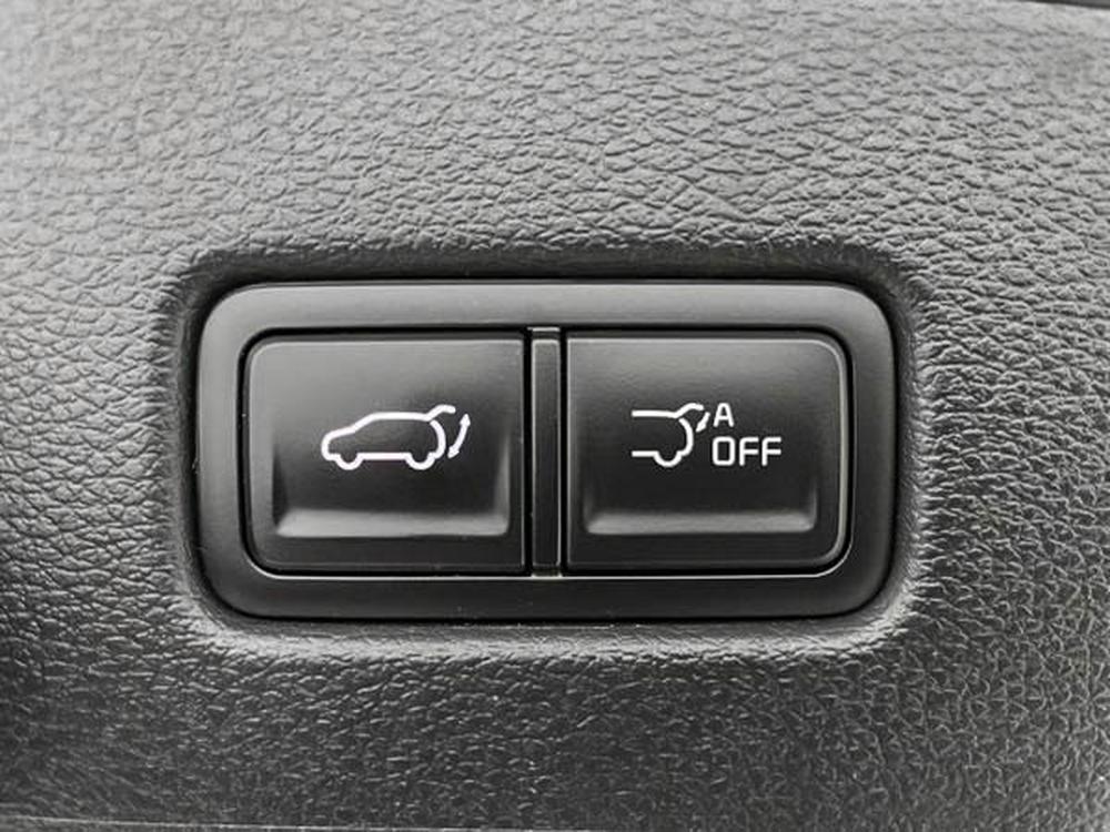 Kia Telluride EX AWD / 8 passagers 2024 d&rsquo;occasion à vendre - 38