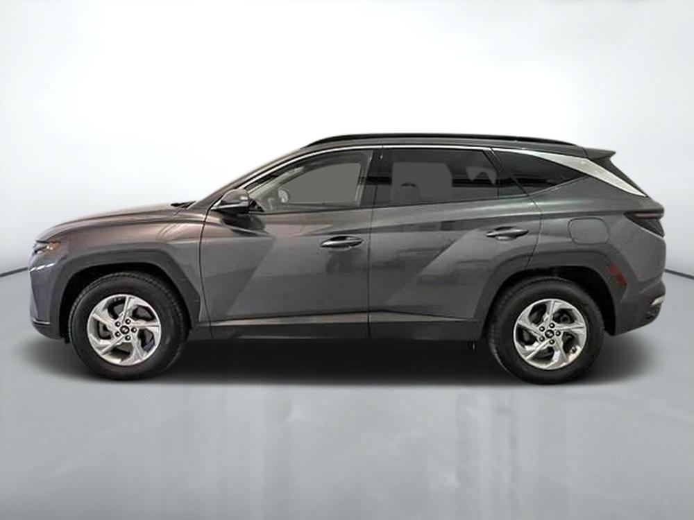 Hyundai Tucson Trend AWD 2023 d&rsquo;occasion à vendre - 4