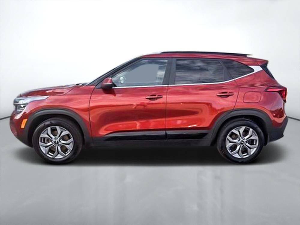 Kia Seltos EX AWD 2024 d&rsquo;occasion à vendre - 4