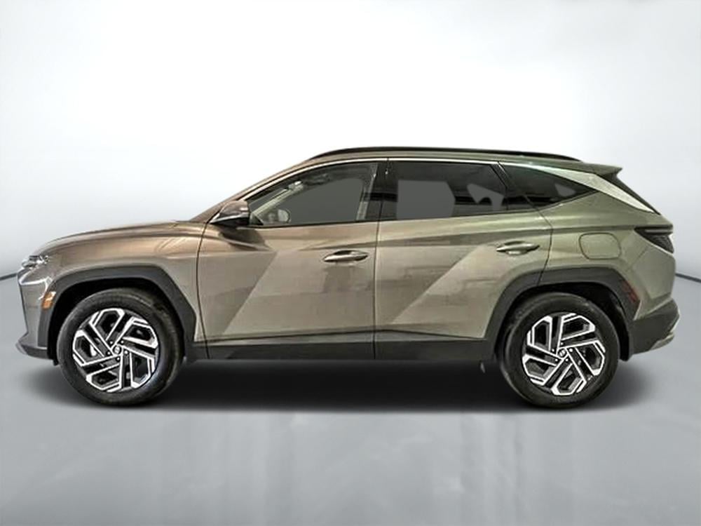 Hyundai Tucson hybride ULTIMATE AWD 2025 d&rsquo;occasion à vendre - 4