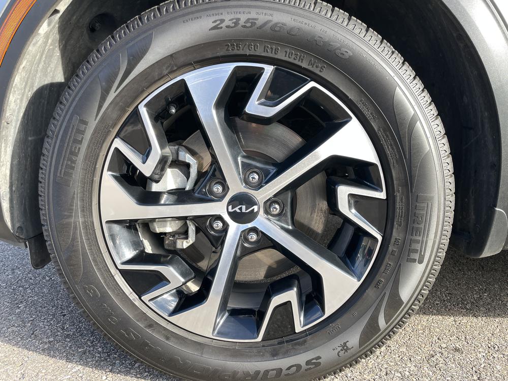 Kia Sportage EX 2024 d&rsquo;occasion à vendre - 11