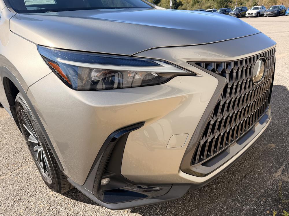 Lexus NX 350H BASE 2024 d&rsquo;occasion à vendre - 11