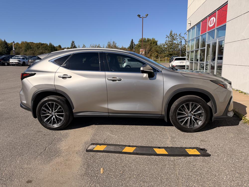 Lexus NX 350H BASE 2024 d&rsquo;occasion à vendre - 9