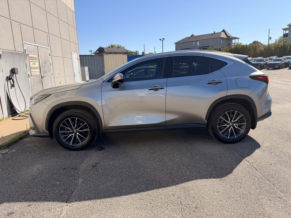 Lexus NX 350H BASE 2024 d&rsquo;occasion à vendre - 4