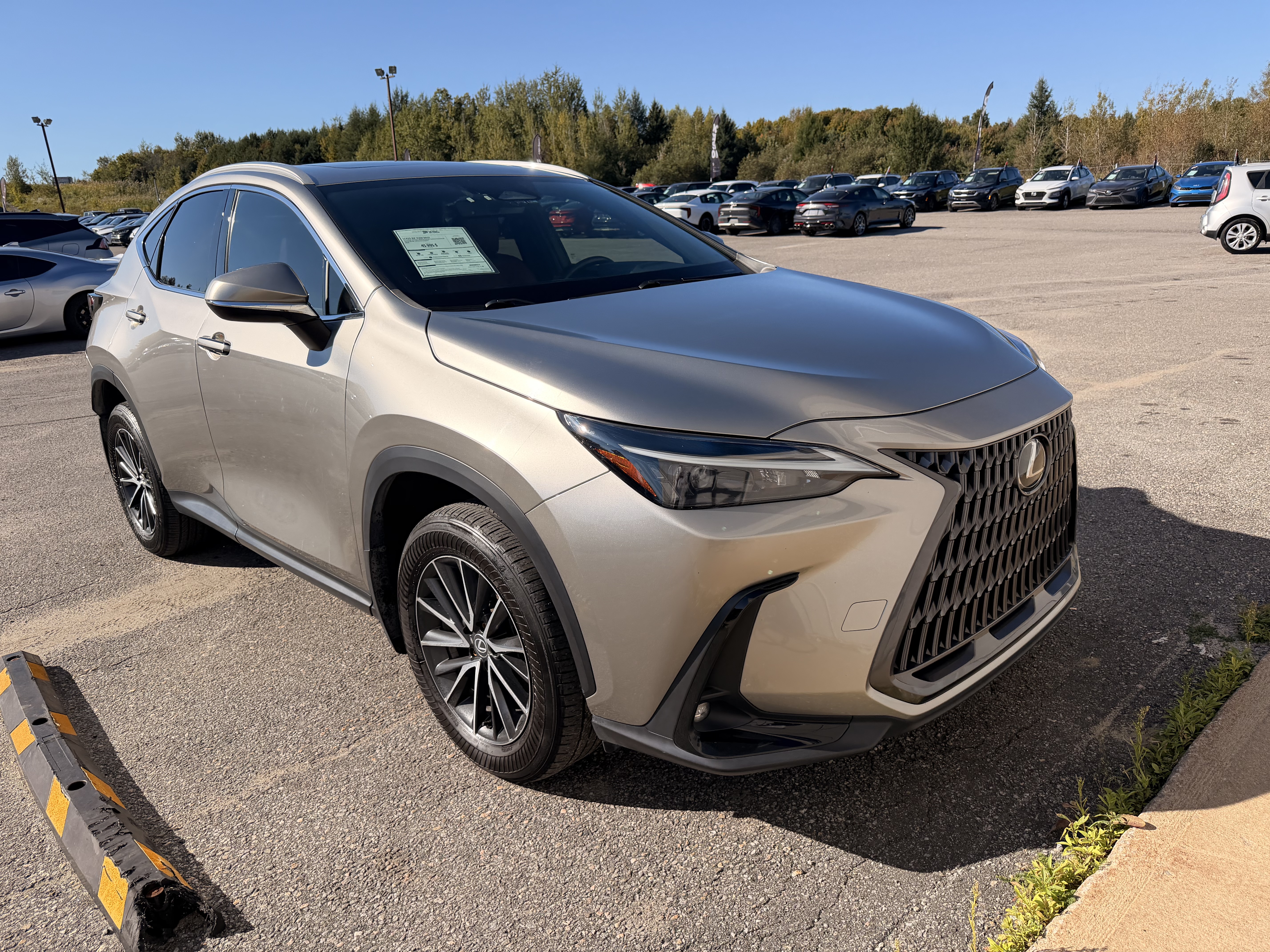 Gray 2024 Lexus NX Hybrid SUV / Crossover All-Wheel Drive Automatic