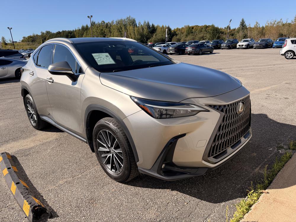 Lexus NX 350H BASE 2024 d&rsquo;occasion à vendre