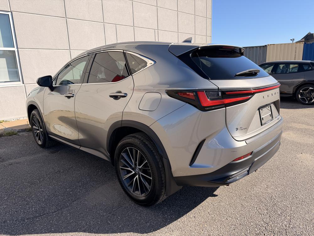 Lexus NX 350H BASE 2024 d&rsquo;occasion à vendre - 6