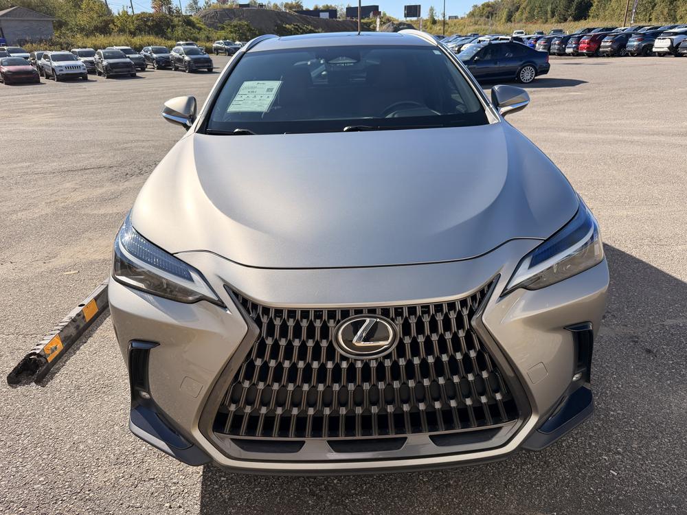 Lexus NX 350H BASE 2024 d&rsquo;occasion à vendre - 2