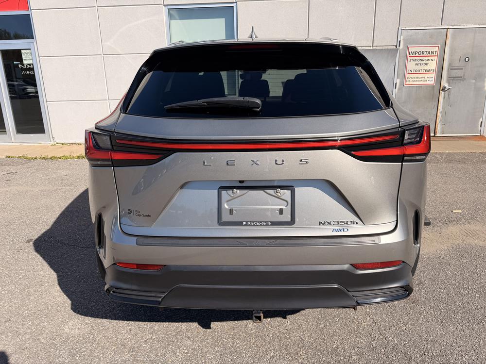 Lexus NX 350H BASE 2024 d&rsquo;occasion à vendre - 7