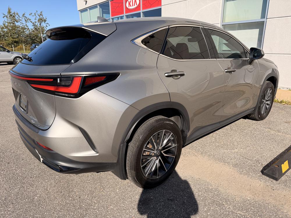 Lexus NX 350H BASE 2024 d&rsquo;occasion à vendre - 8