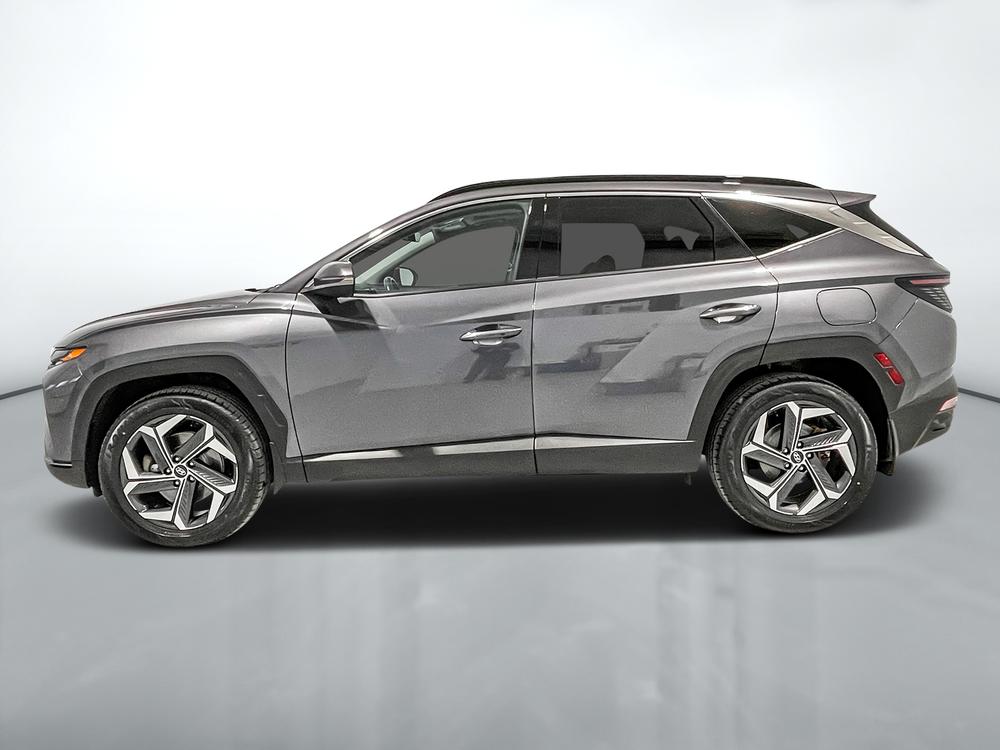 Hyundai Tucson hybride rechargeable Luxury AWD 2022 d&rsquo;occasion à vendre - 4