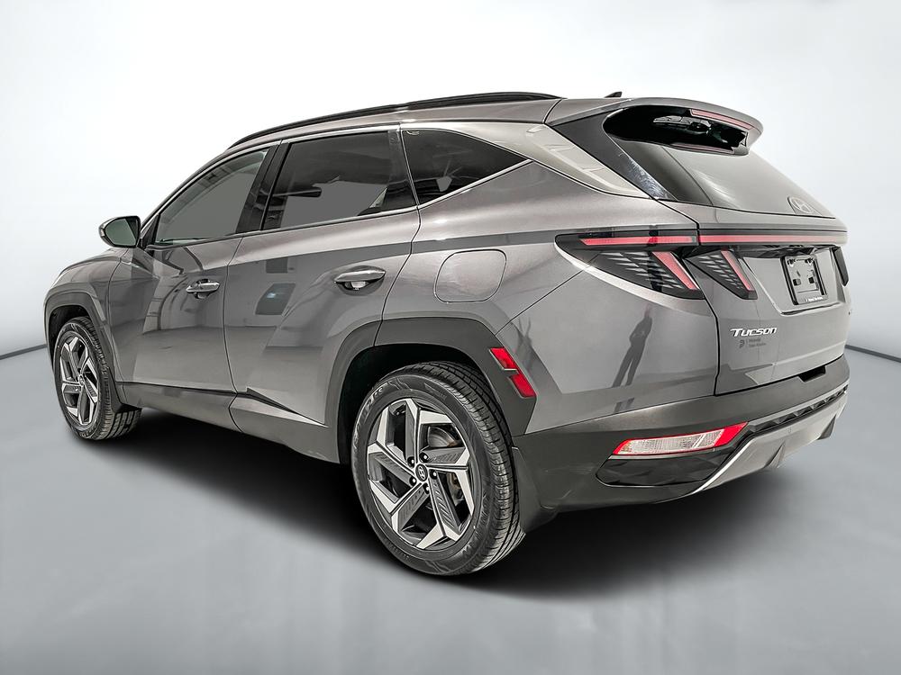 Hyundai Tucson hybride rechargeable Luxury AWD 2022 d&rsquo;occasion à vendre - 6