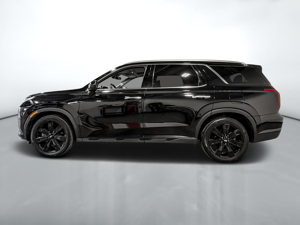 Hyundai Palisade URBAIN 2023 d&rsquo;occasion à vendre - 7