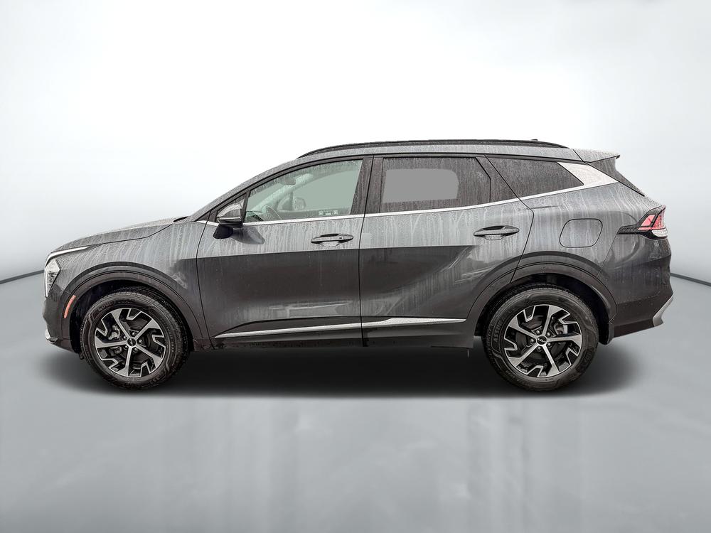 Kia Sportage EX AWD 2024 d&rsquo;occasion à vendre - 4
