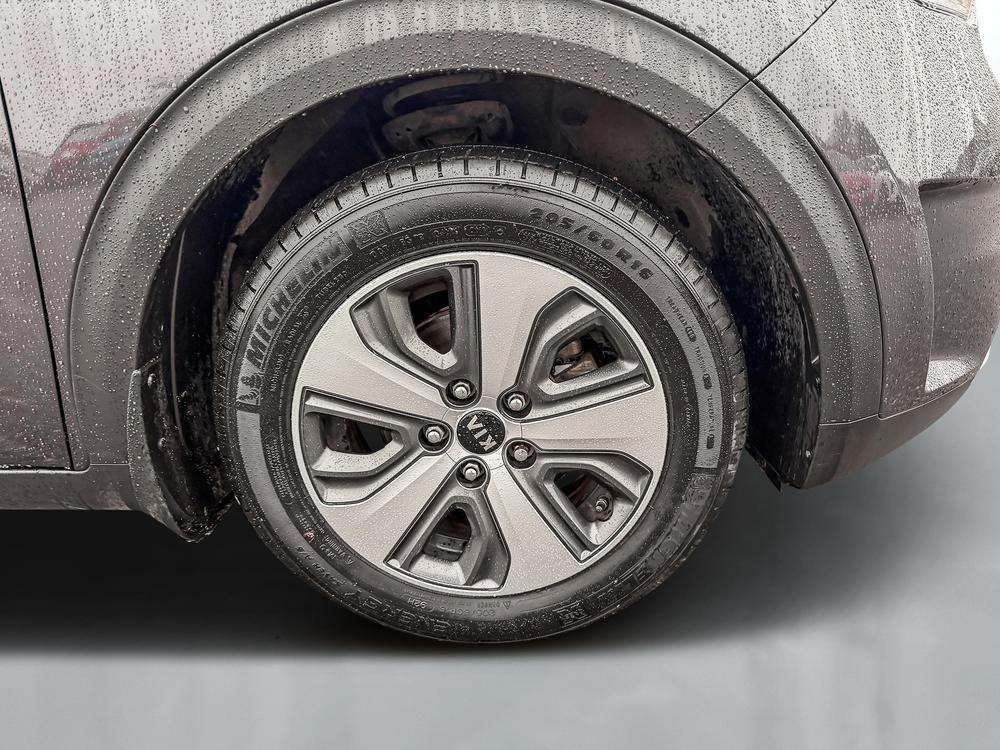 Kia Niro L 2019 d&rsquo;occasion à vendre - 12