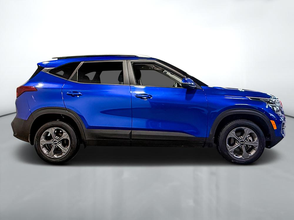 Kia Seltos LX 2021 d&rsquo;occasion à vendre - 2