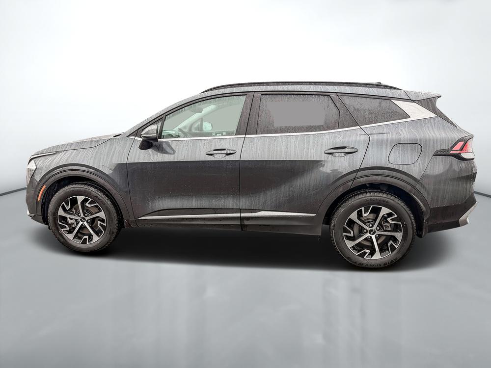 Kia Sportage EX AWD 2024 d&rsquo;occasion à vendre - 4