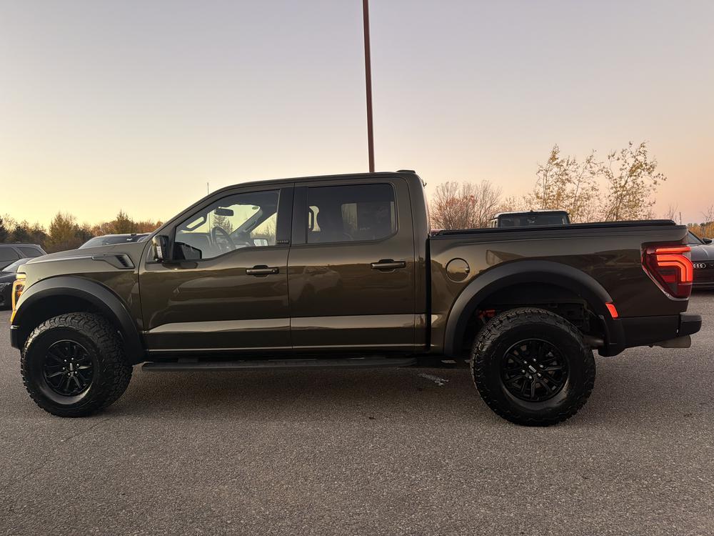 Ford F-150 2025 Vert usage à vendre Ford F-150 2025 Vert usage à vendre