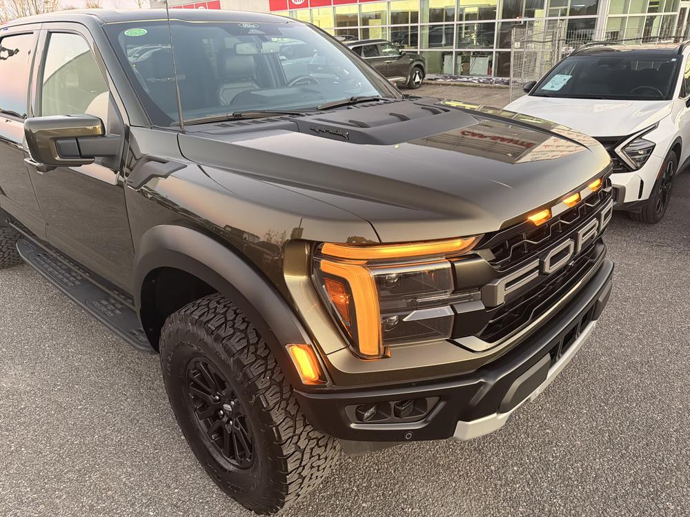 Ford F-150 2025 Vert usage à vendre Ford F-150 2025 Vert usage à vendre