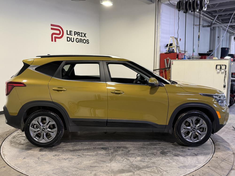 Kia Seltos EX 2024 d&rsquo;occasion à vendre - 2