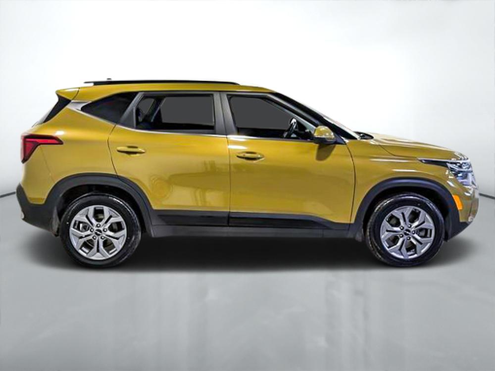 Kia Seltos EX 2024 d&rsquo;occasion à vendre - 2