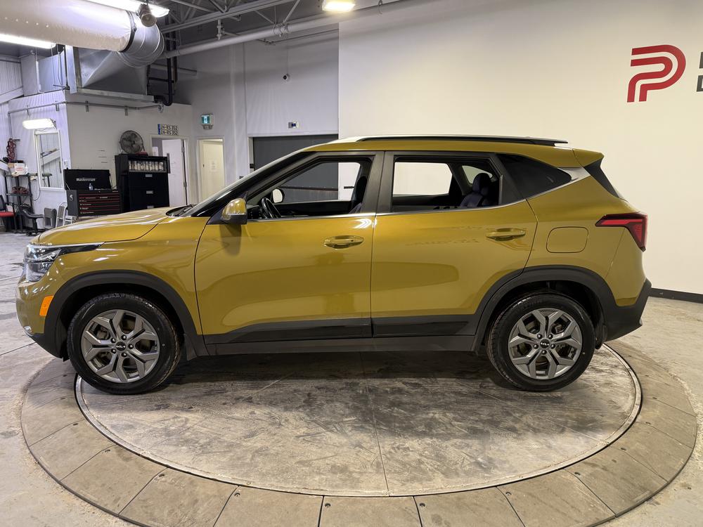 Kia Seltos EX 2024 d&rsquo;occasion à vendre - 7